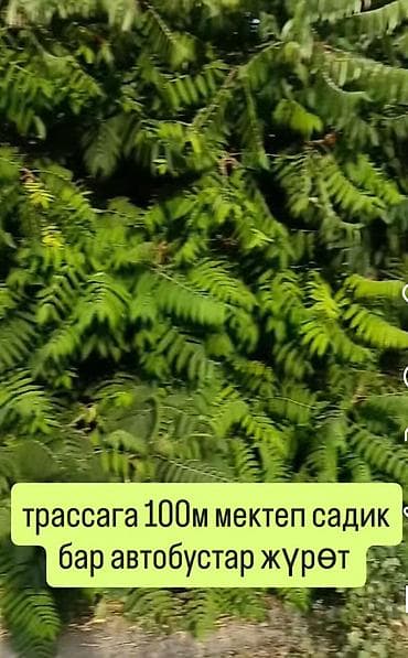 Лебединовка участок 8сот размер 20х40 үй 2 кабаттуу 8 бөлмөсү — 3