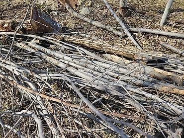 Дрова Самовывоз