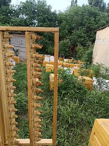 Минуточку внимания!!! Аары пчеловод мёд бал аары матки маточники