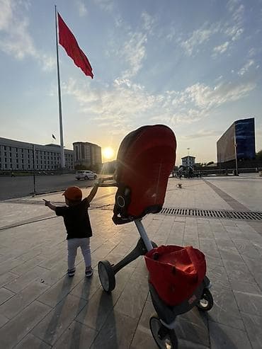Детская коляска Stokke Xplory (серия с высокой посадкой) - Цвет
