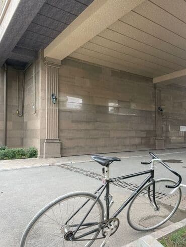 велосипед fixed gear: Шаардык велосипед, Велосипед алкагы L (172 - 185 см), Жаңы — 4