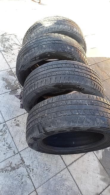 17 5 мост: Шины 225 / 55 / R 17, Лето, Комплект, Легковые, Kumho — 4