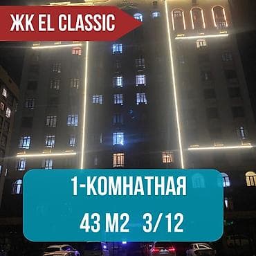 43: 1 комната, 43 м², сквер Тоголок Молдо Элитка, 3 этаж, Евроремонт — 1