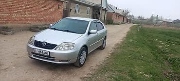 mini kuper: Toyota Corolla: 2004 г., Бензин, Седан — 1