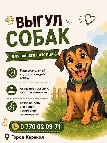 меняю на собаку: Выгул собак для вашего питомца — город Каракол. - Индивидуальный — 1
