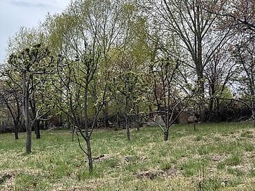 куплю баню: Продается Фазенда 52соток красная книга, ест все коммуникации свет 3х — 9