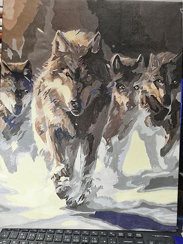 Картина по номерам «Стая волков» на холсте. - Сюжет: волки, бегущие