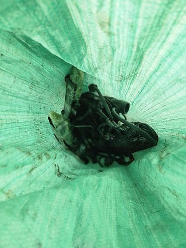 форсунки на мазда 6: Бензиновый мотор Volkswagen 2.8 л — 4