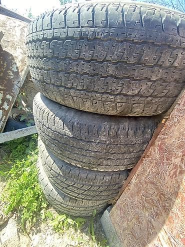 новые шыны: Шины — 2