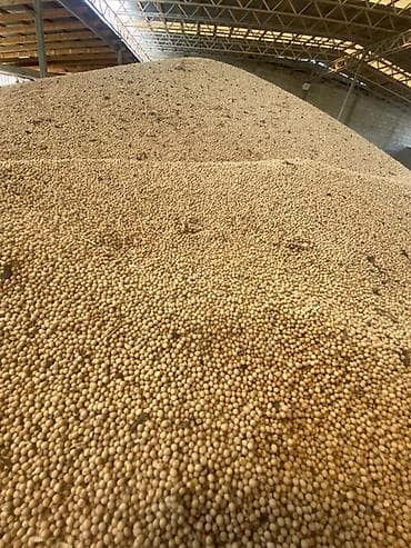 мука с доставкой бишкек: 🌱 Производитель: СХКК «ЫНТЫМАК АГРО» 🇰🇬 Выращено в Кыргызской — 2