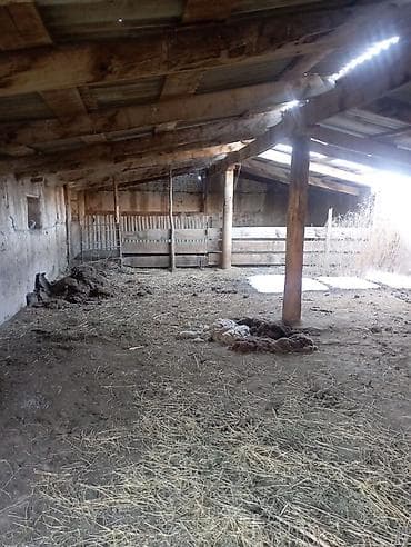 Сарай сатылат срочно документы таза чалгыла — 4