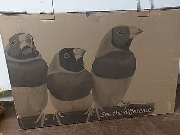 Электрондук китептер: Монитор, 27" - 28" — 3