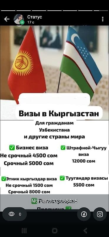 пик: Виза+Регистрация-Прописка. Быстро Официально. Оформление виз в — 1