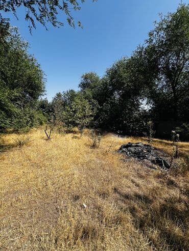 срочна продаю дом дордой: Үй, 104 кв. м, 4 бөлмө, Менчик ээси, Дизайнердик оңдоо — 25