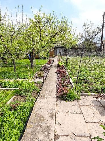 подсобный хозяйства: 4 соток, Красная книга — 7