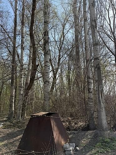 беловодском: 62 соток, Для строительства, Красная книга — 7