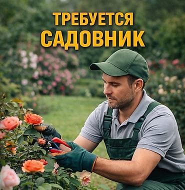 ЗАО «СТРОИТЕЛЬНОЕ УПРАВЛЕНИЕ» г. Кара-Балта ТРЕБУЕТСЯ САДОВНИК 📞По
