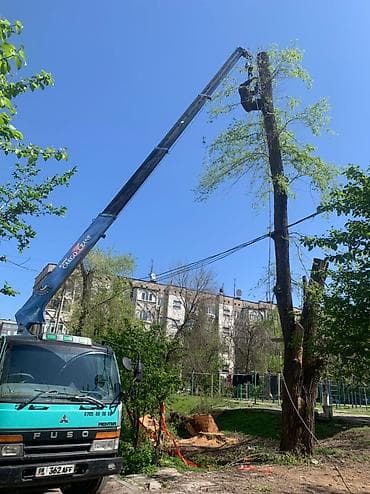 9 c: Стрела 10 м, 3 т, Борт 9000 кг — 5