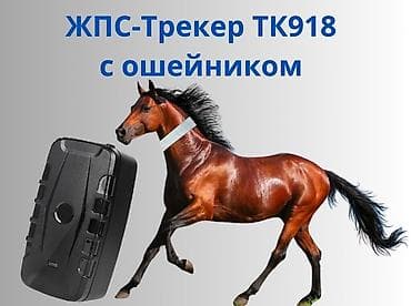 ЖПС‑трекер TK918 с ошейником Заряд держится 1-3 месяца Универсальный