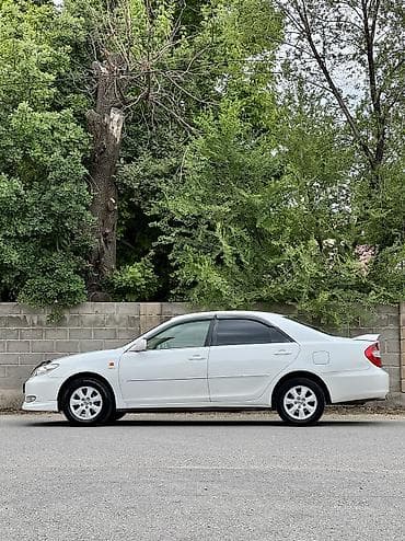 экран камри 55: Toyota Camry: 2002 г., 2.4 л, Автомат, Бензин, Седан — 5