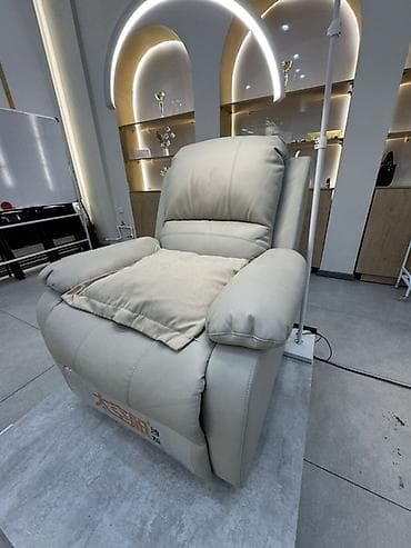 Лак жана боёк материалдары: Реклайнер, түсү - Саргыч боз — 4