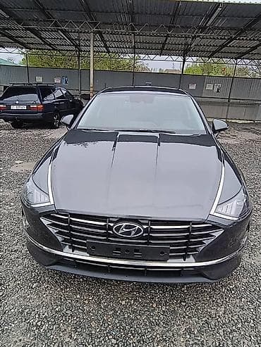 кармашек для сонаты: Hyundai Sonata: 2019 г., 2 л, Автомат, Газ, Седан — 1