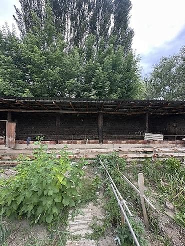 швейное дело: 📍 В Шопокове продается дом на участке 8.5 соток, 65 кв.м. 🏡Дом — 7