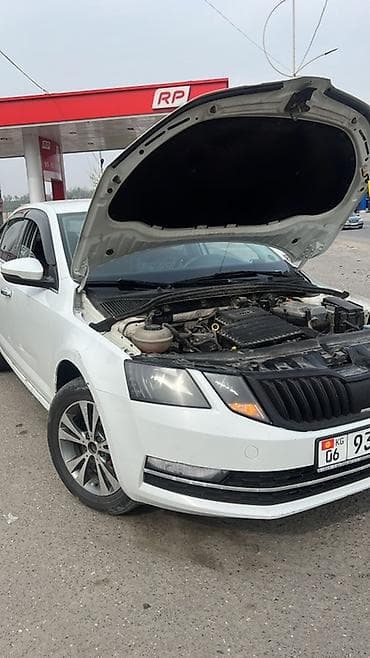 maxima j30: Skoda Octavia: 2018 г., 1.6 л, Типтроник, Бензин, Седан — 6