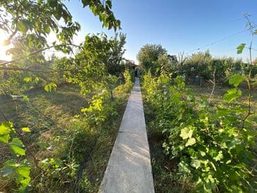 комната кара жыгач: Үй, 120 кв. м, 5 бөлмө, Менчик ээси, Косметикалык оңдоо — 1