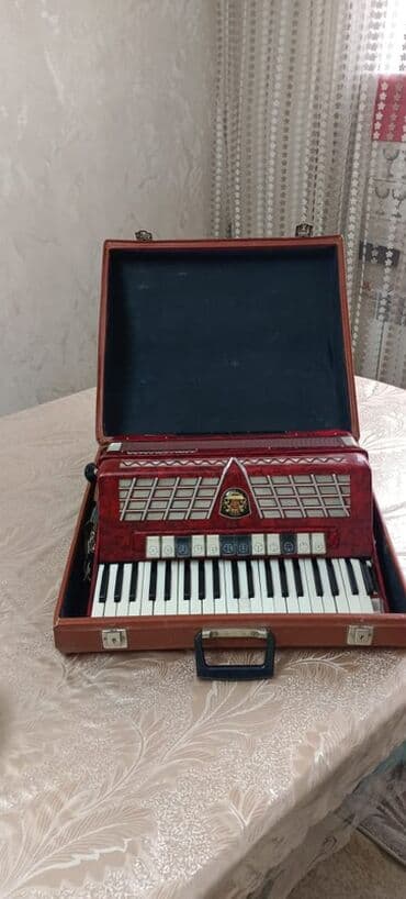 музыкальный мобиль: Аккордеон Royal Standard + кейс - Немецкий аккордеон Royal Standard в — 5