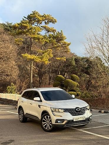 Renault QM6: 2019 г., 2 л, Автомат, Бензин, Кроссовер