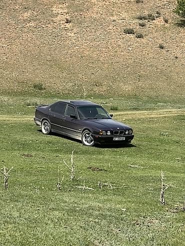 e34 540: BMW 5 series: 1991 г., 3.2 л, Механика, Бензин, Седан — 6