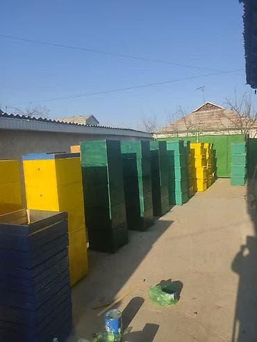 пчелопавильоны: Ящик — 10