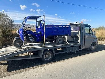 пошив одежды: С лебедкой — 5