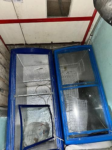 Холодильное оборудование: В наличии — 2