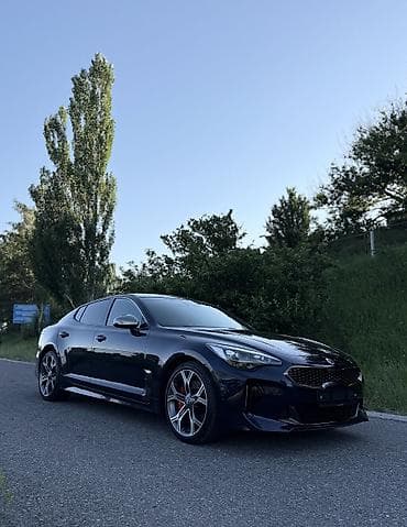 m111 2 2: Kia Stinger: 2019 г., 2 л, Автомат, Бензин, Седан — 3