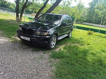 BMW: BMW X5: 2003 г., 3 л, Автомат, Дизель, Кроссовер — 1