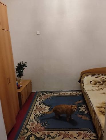 пол дома бишкек: Полдома, 4-комнаты, двор для авто крытый,газ, центральный — 9