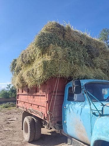 баа: Срочно срочно срочно строго звоните прошу 230 ещё договоримся уступлю — 2