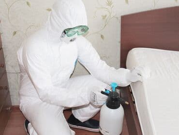 уничтожение клоп блох: Дезинфекция, дезинсекция, | Блохи, Вирусы, микробы, Клопы, | Офисы, Дома, Кафе, магазины — 3