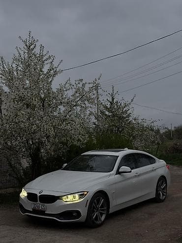 e34 540i: BMW 4 series: 2019 г., 2 л, Робот, Бензин, Лифтбек — 1