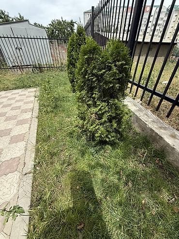 Батирлер: 2 бөлмө, 72 м², Жал мкр (а.и. Жогорку, Ортоңку, Төмөнкү) Элитка, 9 кабат, Жаңы ремонт — 5