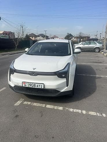 ом 615: Weltmeister EX5, 2022 г. — 9