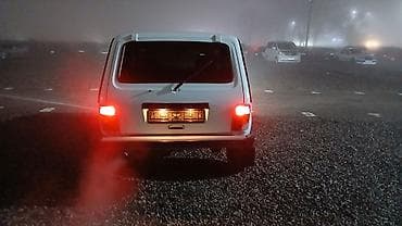 сди матор: ВАЗ (ЛАДА) 4x4 Нива: 2002 г., Механика, Бензин, Внедорожник — 5