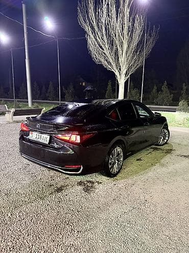 солнцезащитные шторки: Lexus ES: 2021 г., 2.5 л, Автомат, Гибрид, Седан — 4