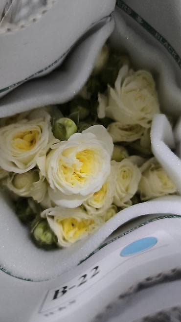 Сушилки: Роза 101 роза, 51 роза, 31 роза оптом и в розницу — 8