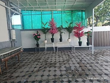 Искусственные напольные композиции для интерьера и террасы - Набор