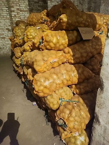 мойка с тумбой для кухни бу: Картошка Оптом — 1