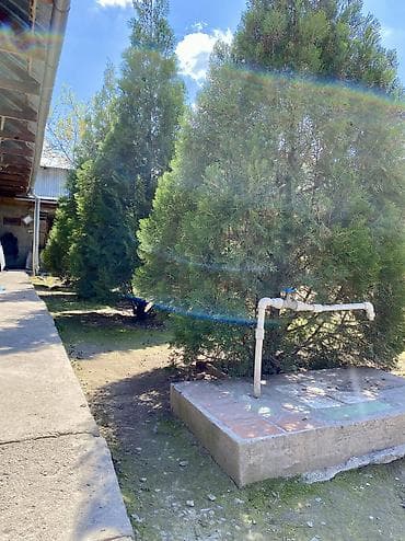 постройка: Срочно!! Продается дом в г.БишкекЛенинский район, ж/м Ала-Тоо или — 7