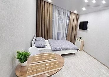 1к: 1 комната, Люкс, элитка, Филармония, Душевая кабина, Постельное белье, Кондиционер — 4